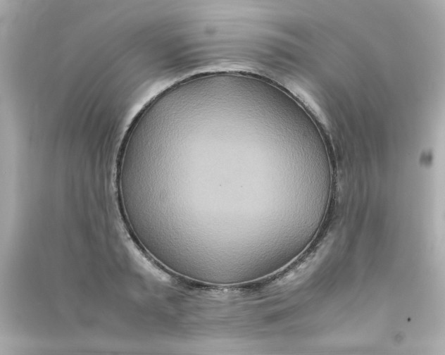 X0000090470797200708102132