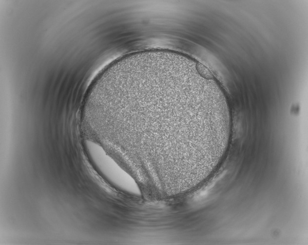 X0000090470798200708102132