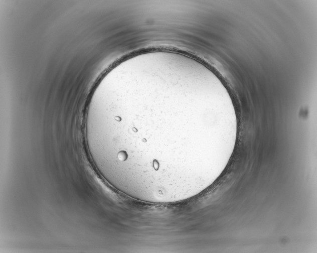 X0000090470799200708102132