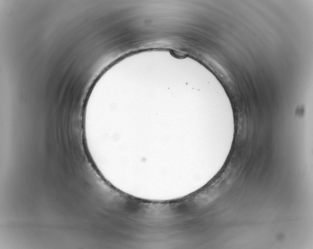 X0000090470800200708102132