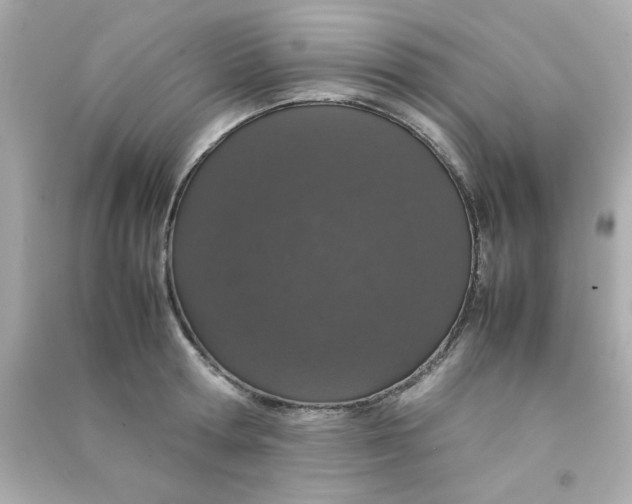 X0000090470802200708102132