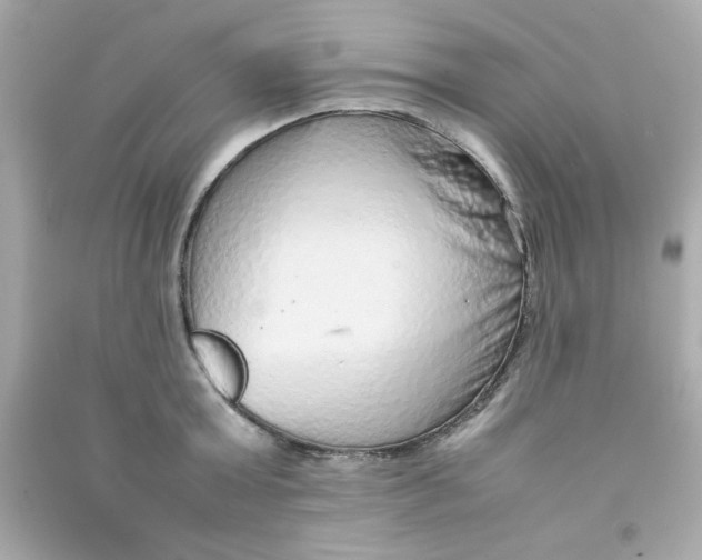 X0000090470803200708102132