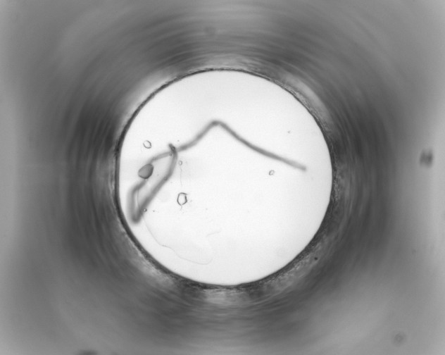 X0000090470804200708102132