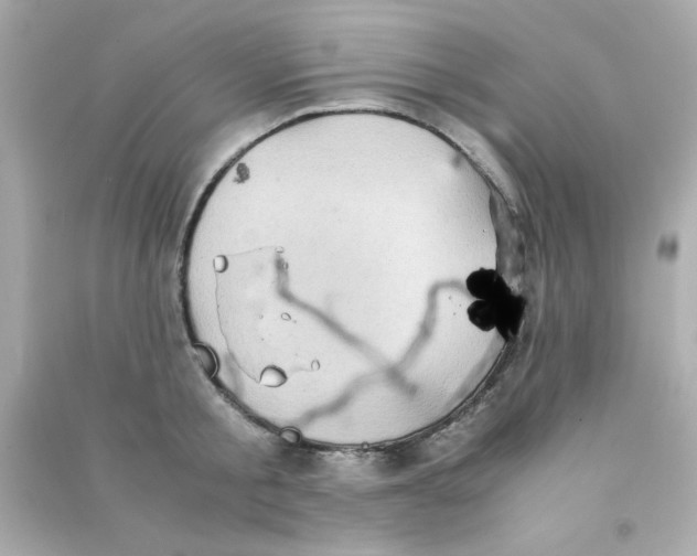 X0000090470805200708102132