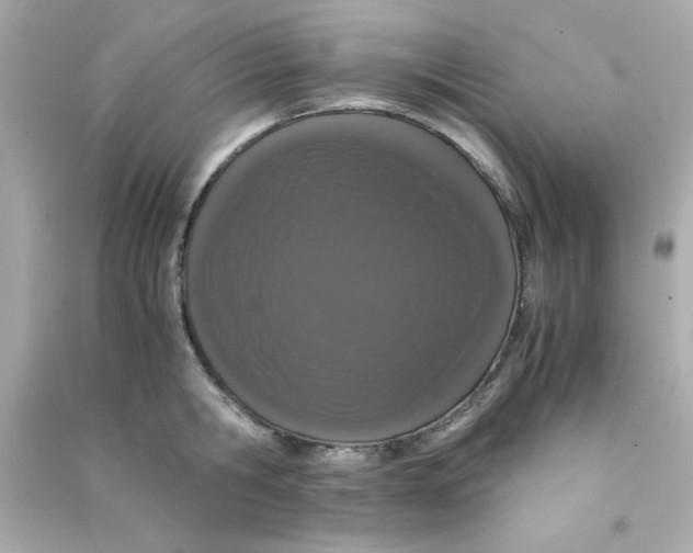 X0000090470806200708102132