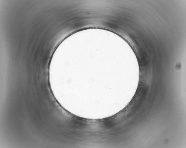 X0000090470807200708102132