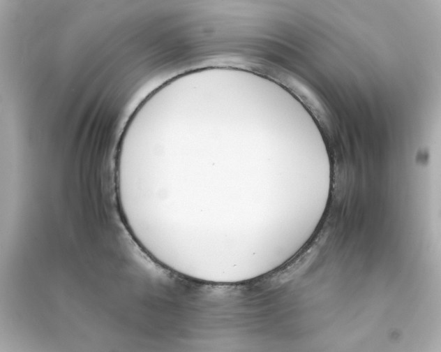 X0000090470808200708102132