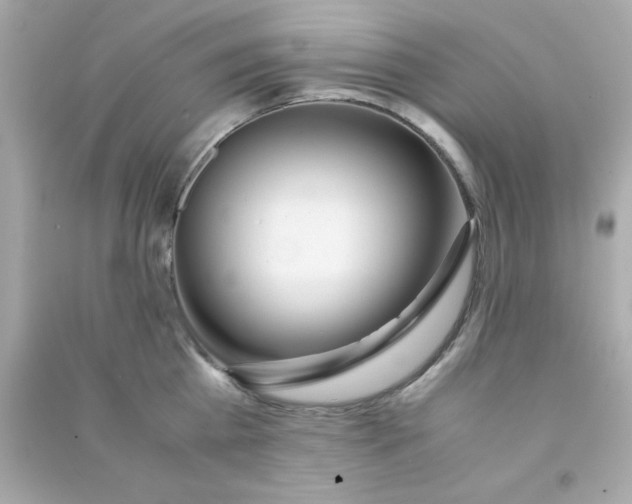 X0000090470809200708102132