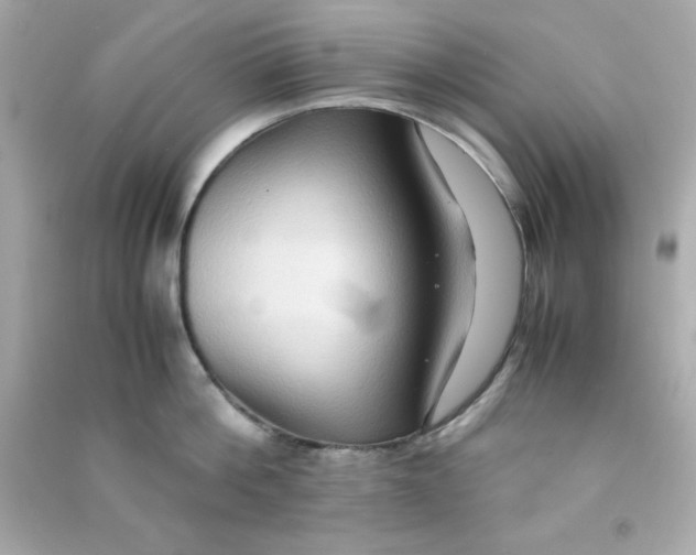 X0000090470812200708102132