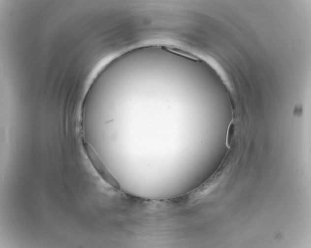 X0000090470815200708102132