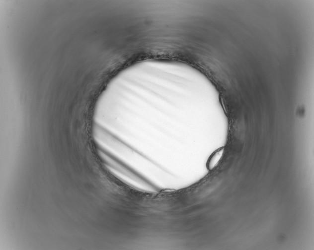 X0000090470817200708102131