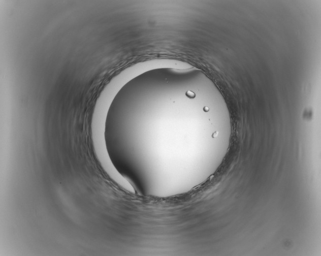 X0000090470818200708102131