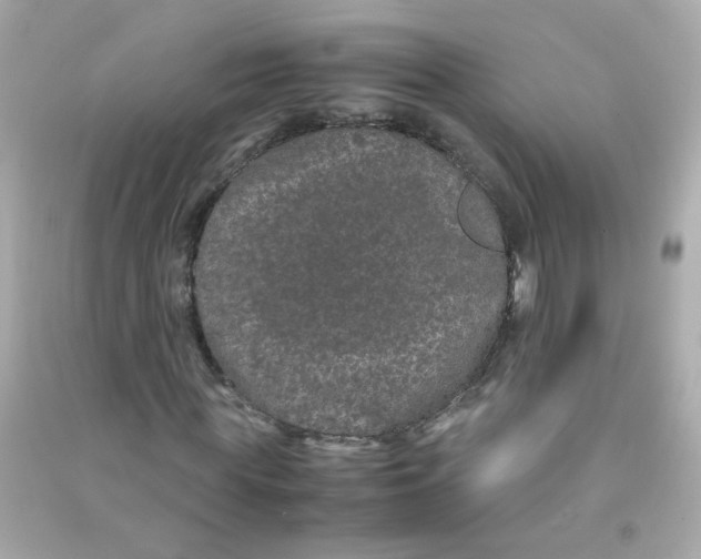 X0000090470819200708102131