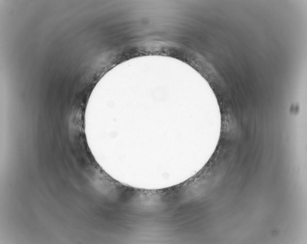 X0000090470820200708102131