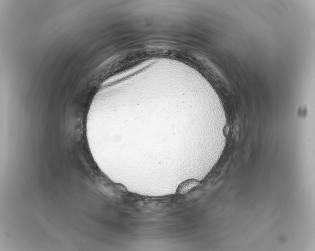 X0000090470821200708102131