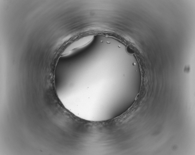 X0000090470822200708102131