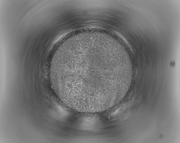 X0000090470823200708102131