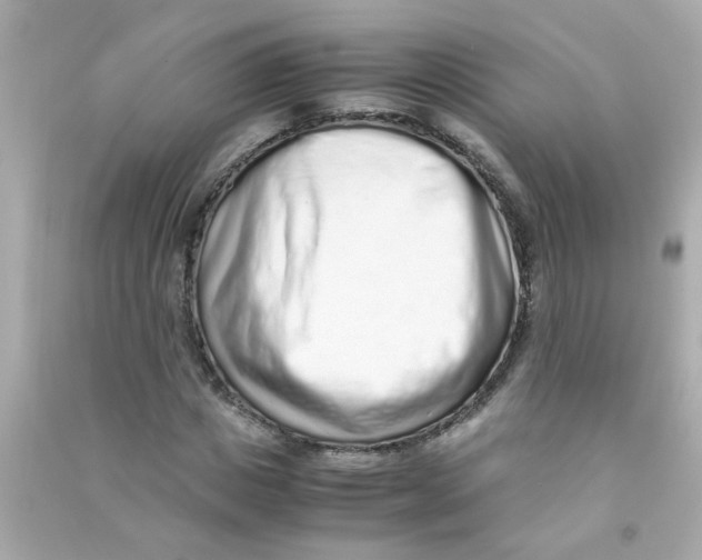 X0000090470825200708102131