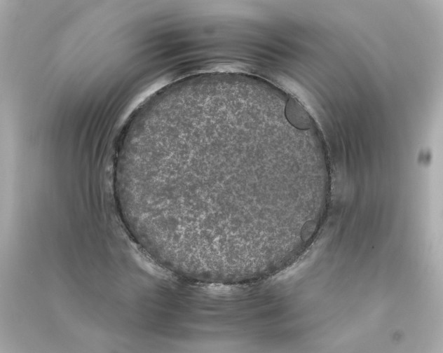 X0000090470827200708102131