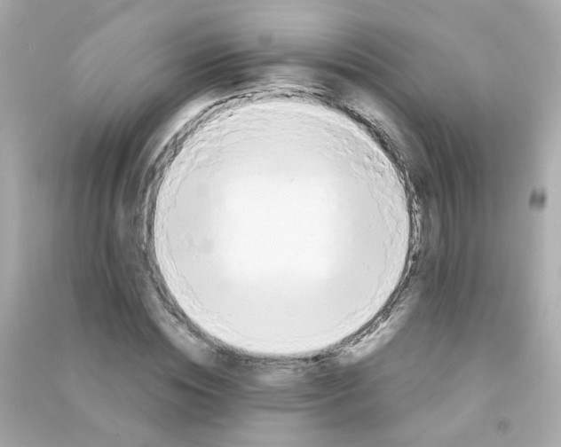 X0000090470828200708102131