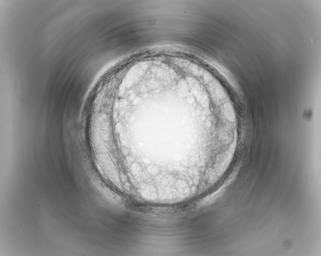 X0000090470832200708102131