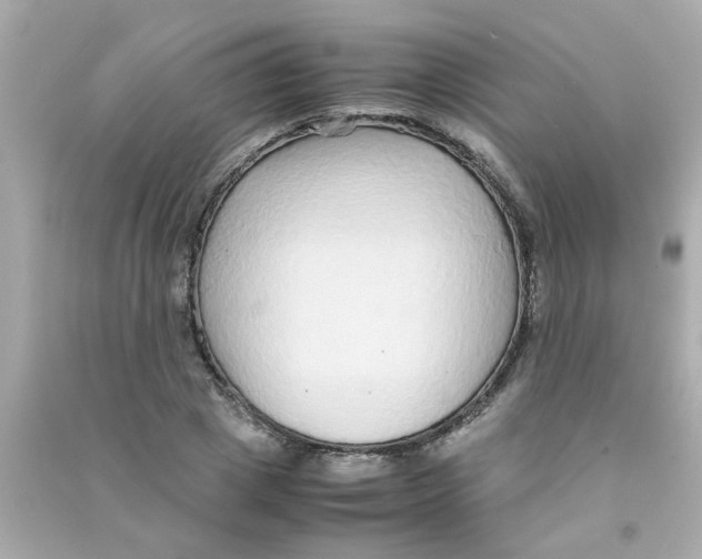 X0000090470833200708102131