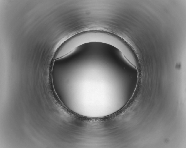 X0000090470834200708102131