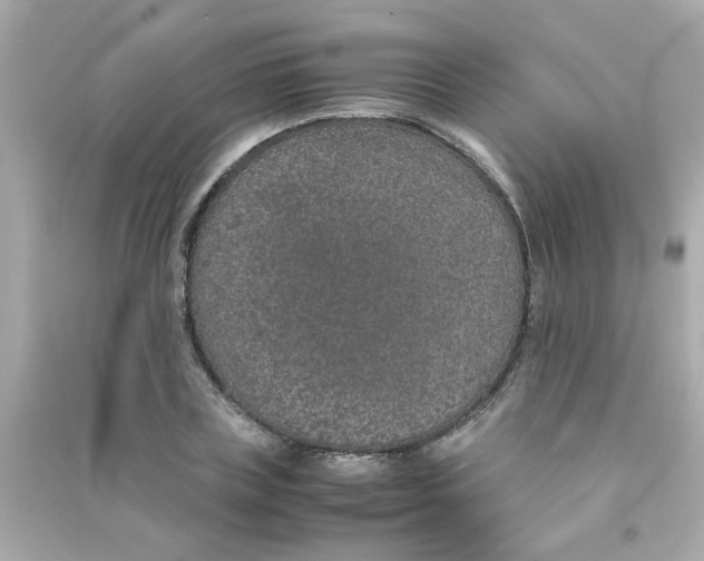 X0000090470835200708102131