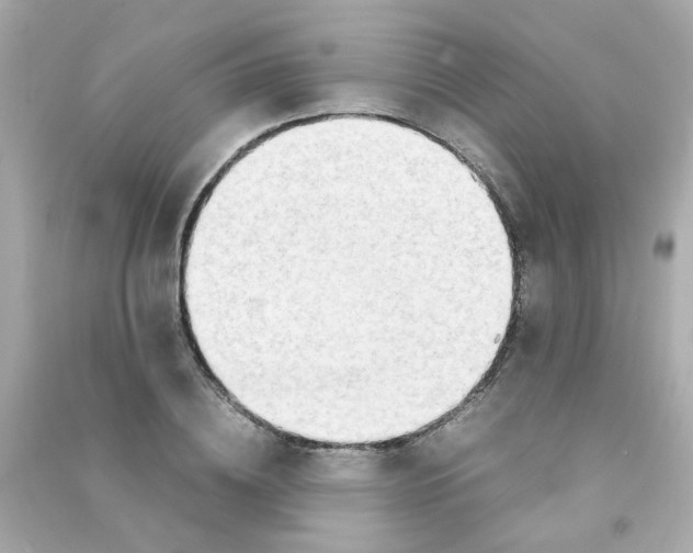 X0000090470836200708102131