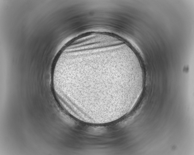 X0000090470837200708102131