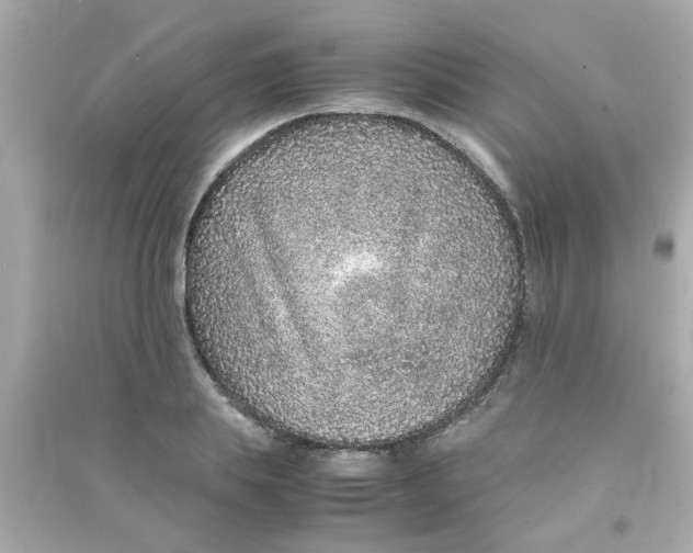 X0000090470839200708102132