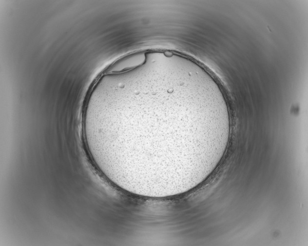 X0000090470840200708102132