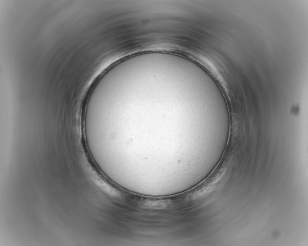 X0000090470843200708102132