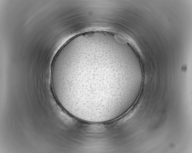 X0000090470844200708102132