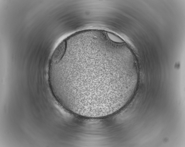 X0000090470846200708102132