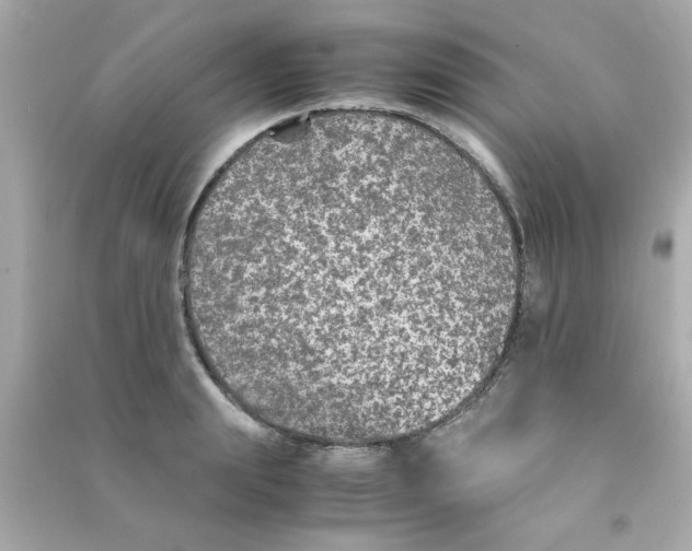 X0000090470847200708102132