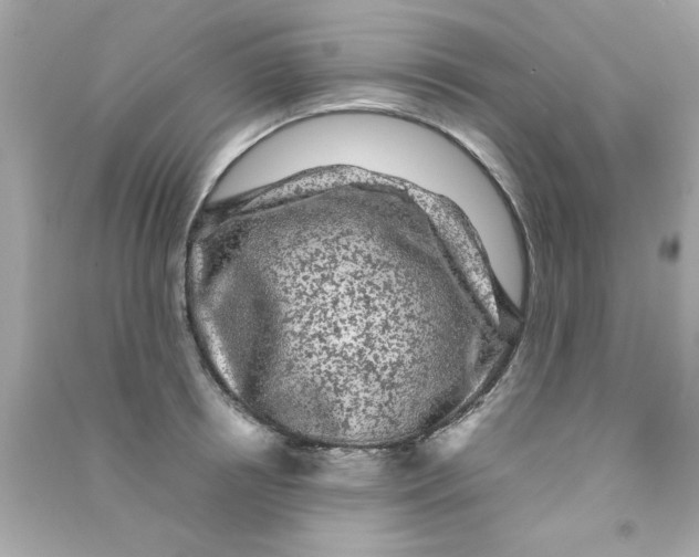 X0000090470850200708102132