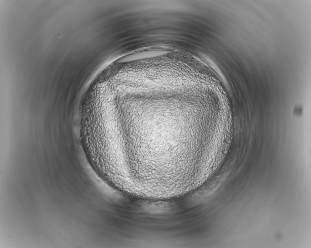 X0000090470851200708102132