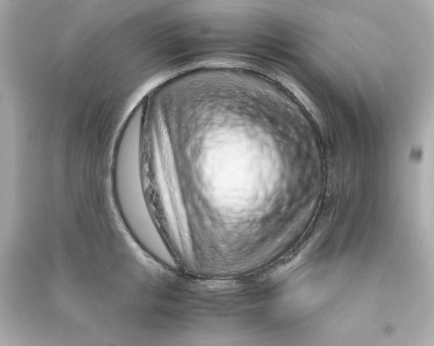 X0000090470853200708102132