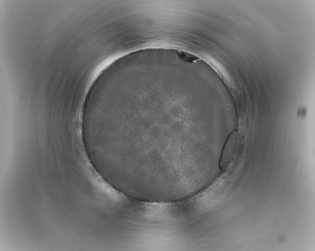 X0000090470854200708102132