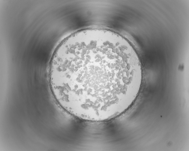 X0000090470856200708102132