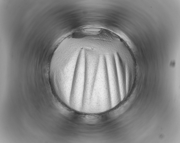 X0000090470857200708102132