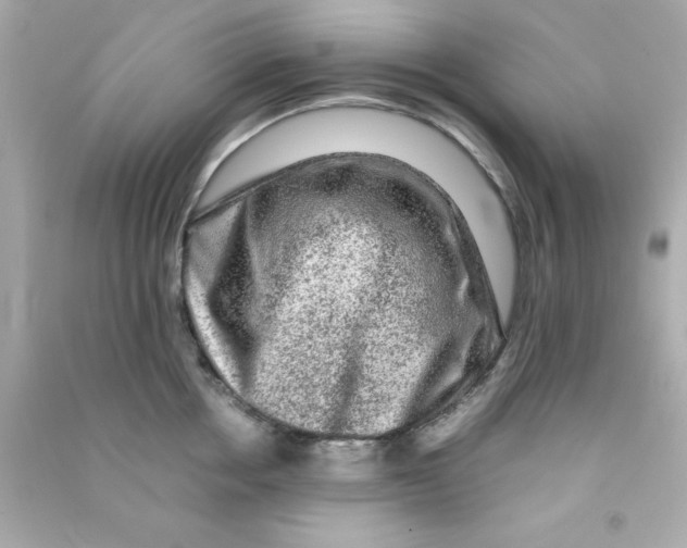 X0000090470858200708102132