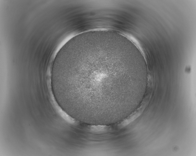 X0000090470859200708102132