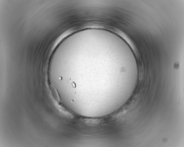 X0000090470861200708102132