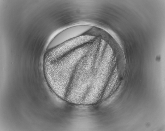 X0000090470862200708102132