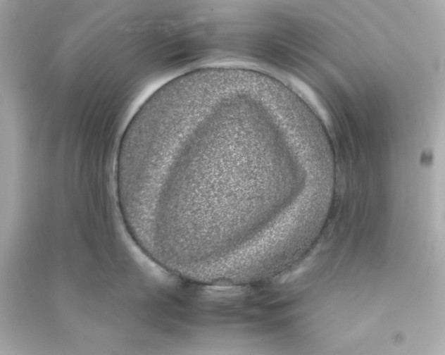 X0000090470863200708102132