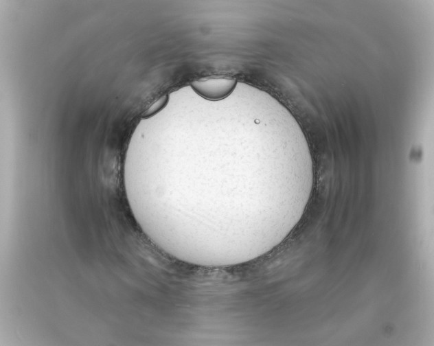 X0000090470866200708102131