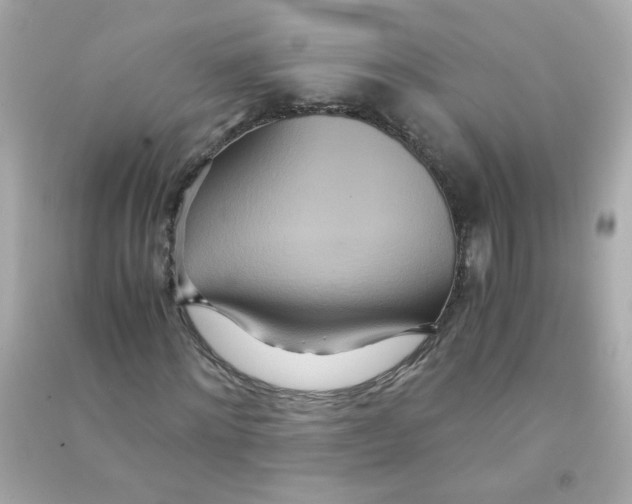 X0000090470868200708102131