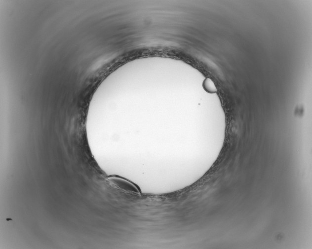 X0000090470869200708102131